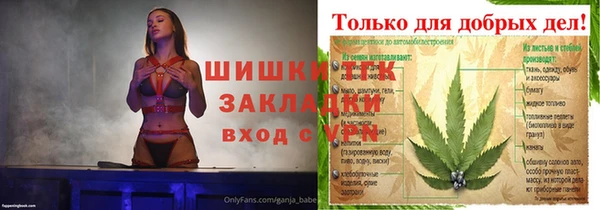 мдпв Верея
