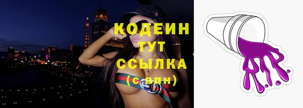 мдпв Верея