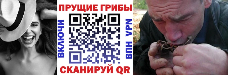 что такое   Ильский  Галлюциногенные грибы MAGIC MUSHROOMS 